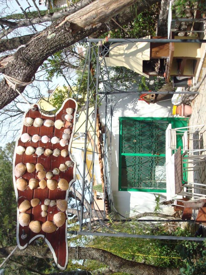 Apartmani Zafaranic 茨里克韦尼察 外观 照片
