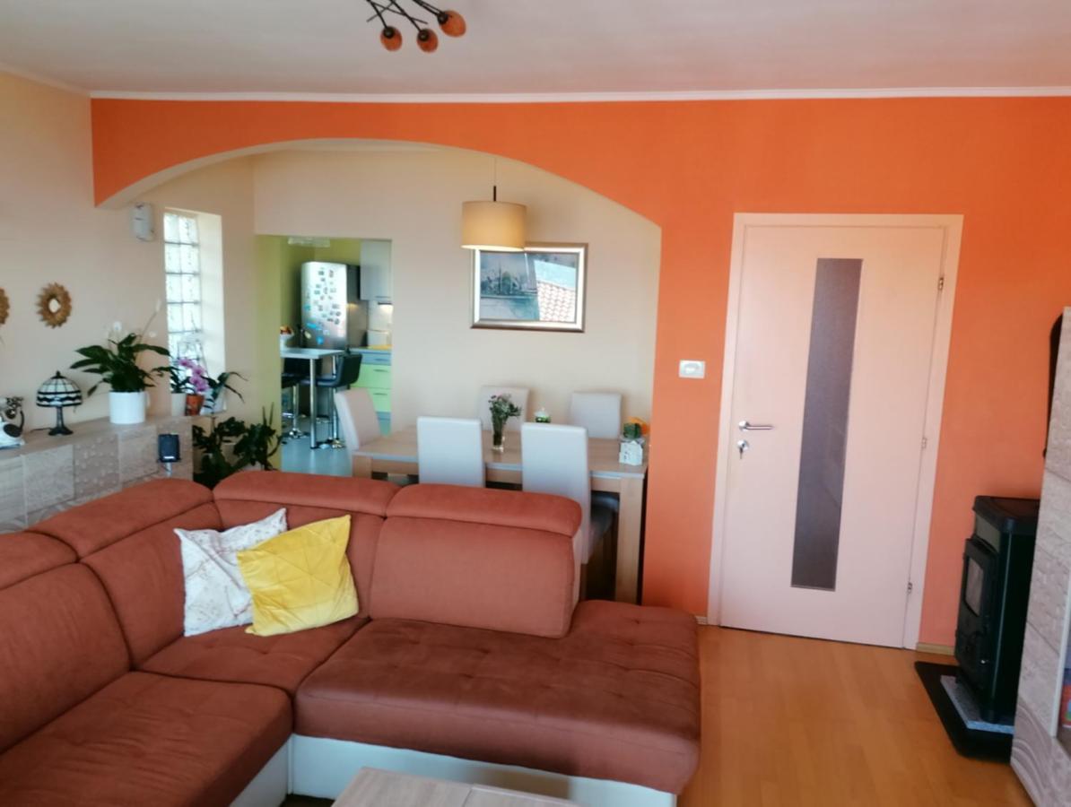 Apartmani Zafaranic 茨里克韦尼察 外观 照片