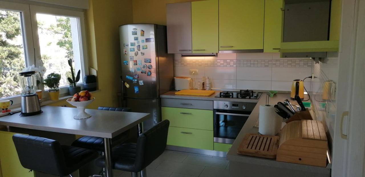 Apartmani Zafaranic 茨里克韦尼察 外观 照片